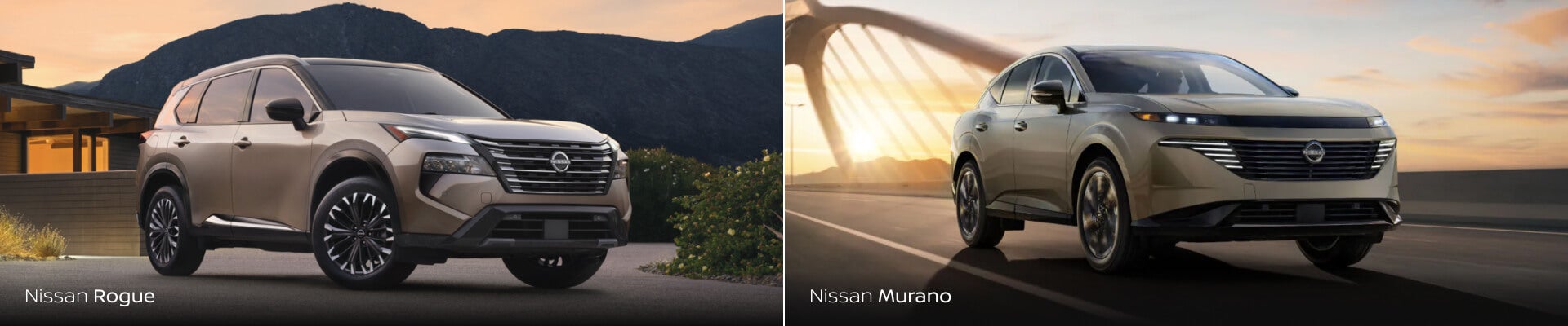 '2025 Nissan Rogue' and ' 2025 Nissan Murano'